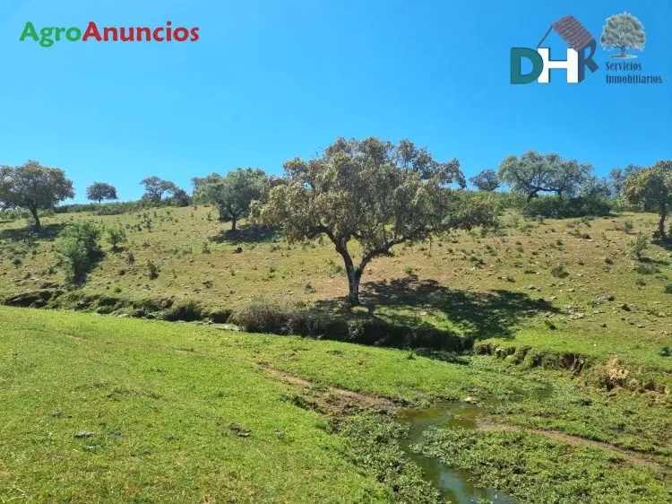 Venta  de Finca ganadera con caseríos y cobertizos en Badajoz