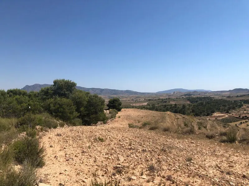 Terreno en Venta en La Zarza cerca de Pinoso Alicante