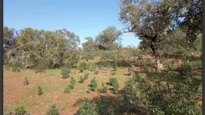 Finca rústica en venta en Calle Finca Carretera El Toro