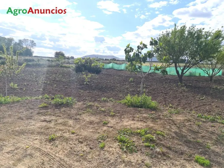Venta  de Huerta en Ciudad Real