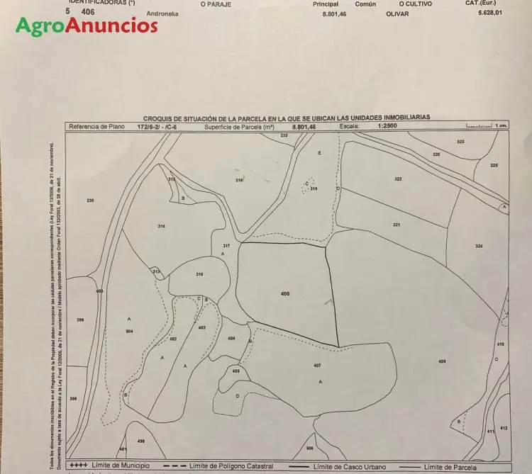 Venta  de Finca de olivos en Navarra