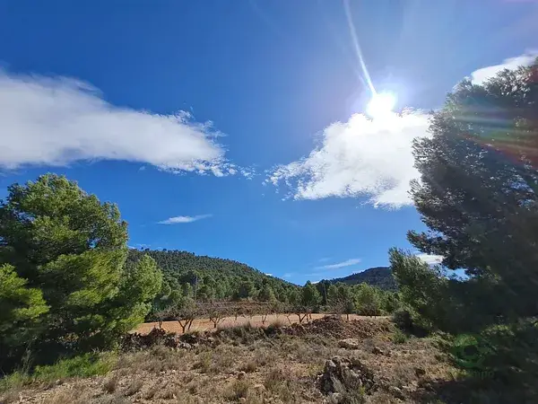 Parcela Rustica Pinoso 14546m2 Almendros Agua Electricidad