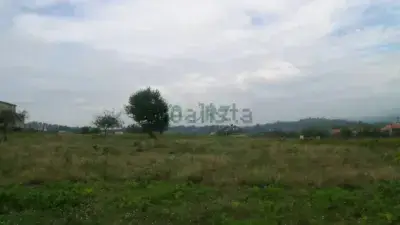 Casa en venta en Coles con 15000m2 de finca