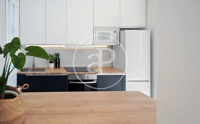 Atico en Alquiler Plaza Olavide 100m2 3 Dormitorios