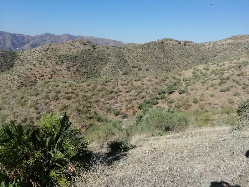 Venta Terreno 120 Hectareas Churriana Malaga Ideal Inversion