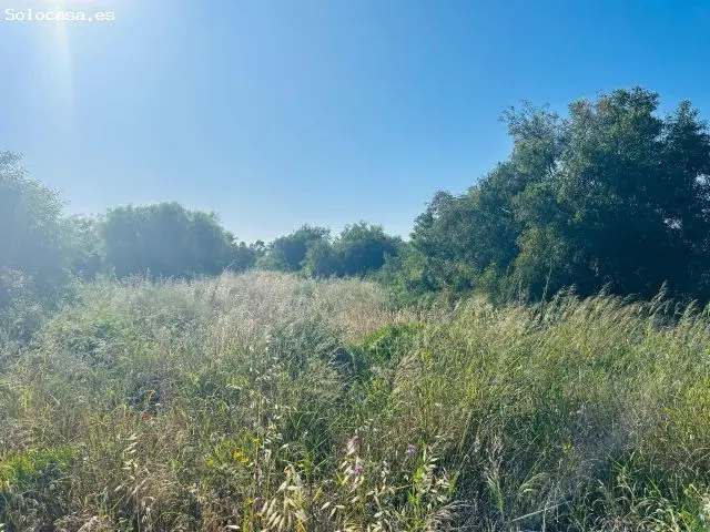 Parcela Rustica 2800m2 Campano Chiclana Caballos