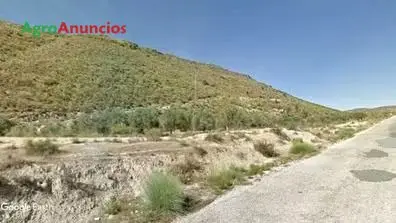 Venta  de Finca de almendros y olivos para recreo en Granada