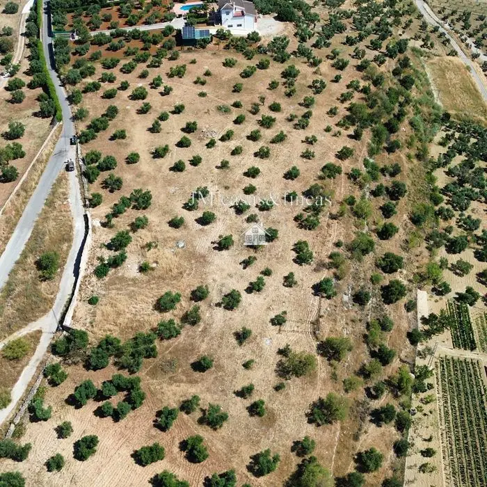 Venta Parcela Carretera Algeciras Ronda Ref 397