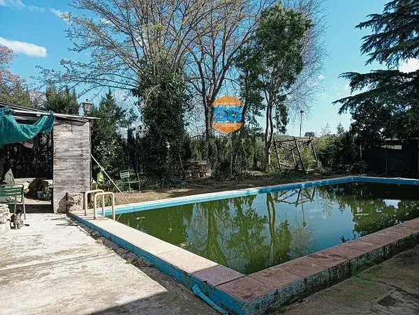 Parcela de Olivar en Posadas con Nave y Alberca