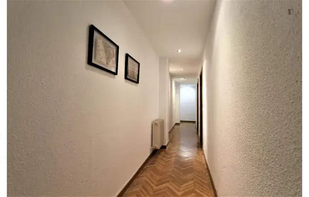 Rent 7 bedroom apartment in Madrid