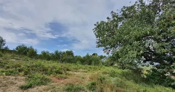 Terreno Rustico 543ha Lliria Valencia Cultivo Secano