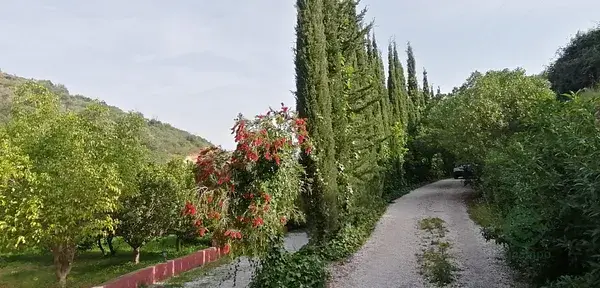 Villa con apartamento y instalaciones ecuestres cerca de La Cala Golf