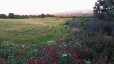 Casa Rustica en Venta cerca de Vejer