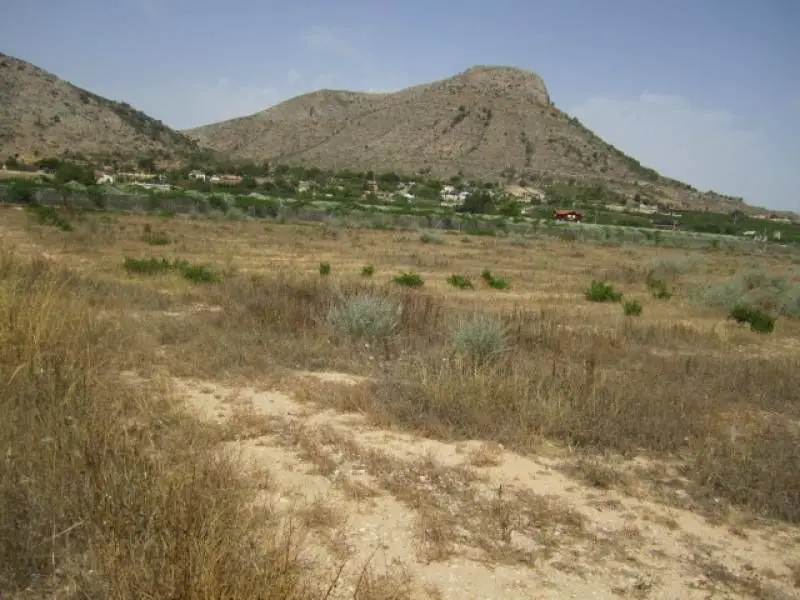 Venta Terreno Rustico Aspe 20600m2 Cerca Playa Aeropuerto