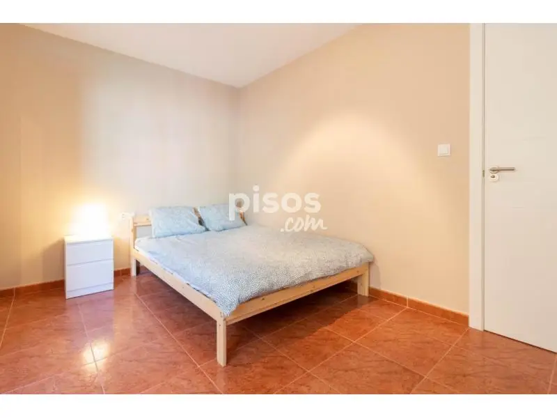 Habitacion Alquiler Campoamor Piso Compartido Reformado