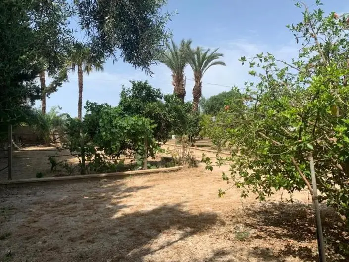 Finca 3 Dormitorios en Los Alcázares