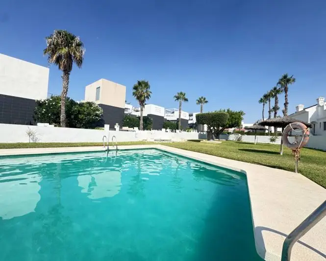 Bungalow 2 Dormitorios Villamartin Terraza Azotea Lujo