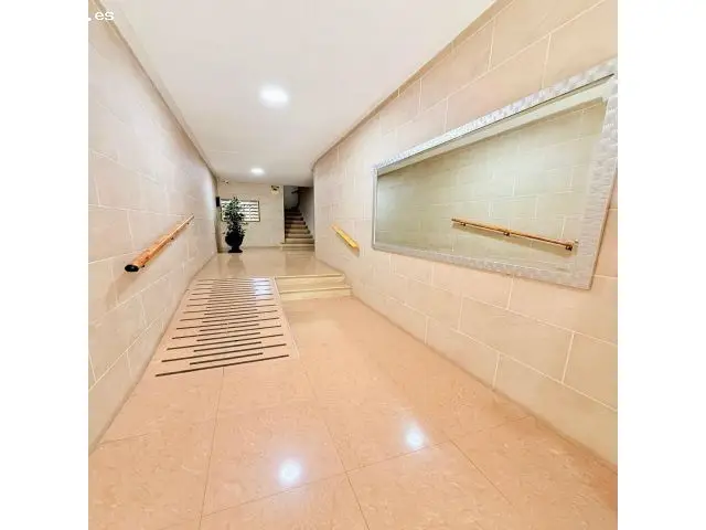 Amplio Piso 3 Dormitorios Orihuela Centro Reforma