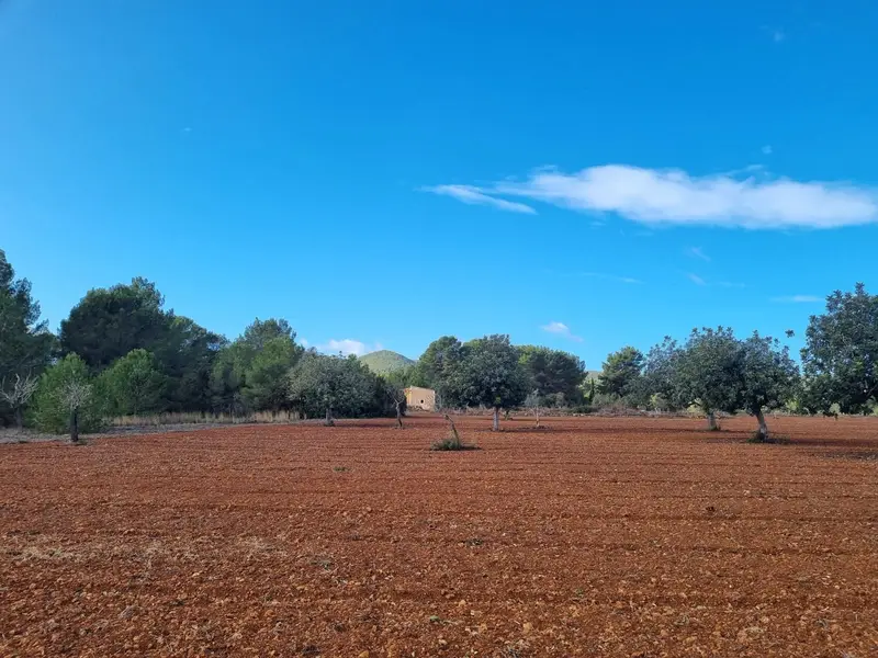 Parcelas en Venta Santa Gertrudis Ibiza para 2 Villas Modernas