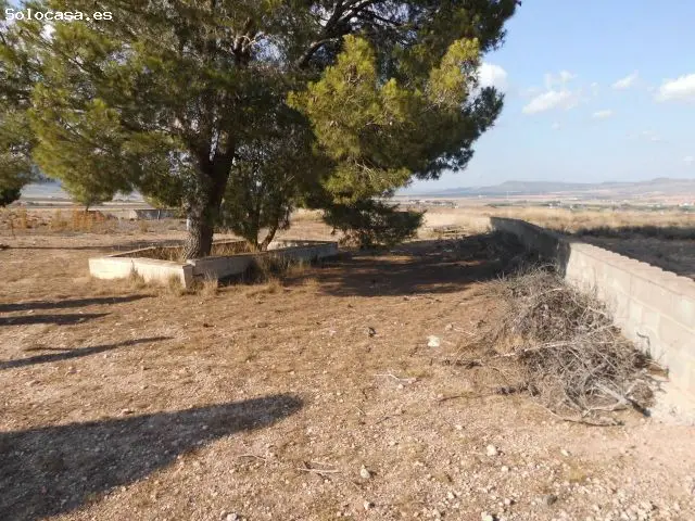 Terreno Rustico en Venta Almansa 11300m2
