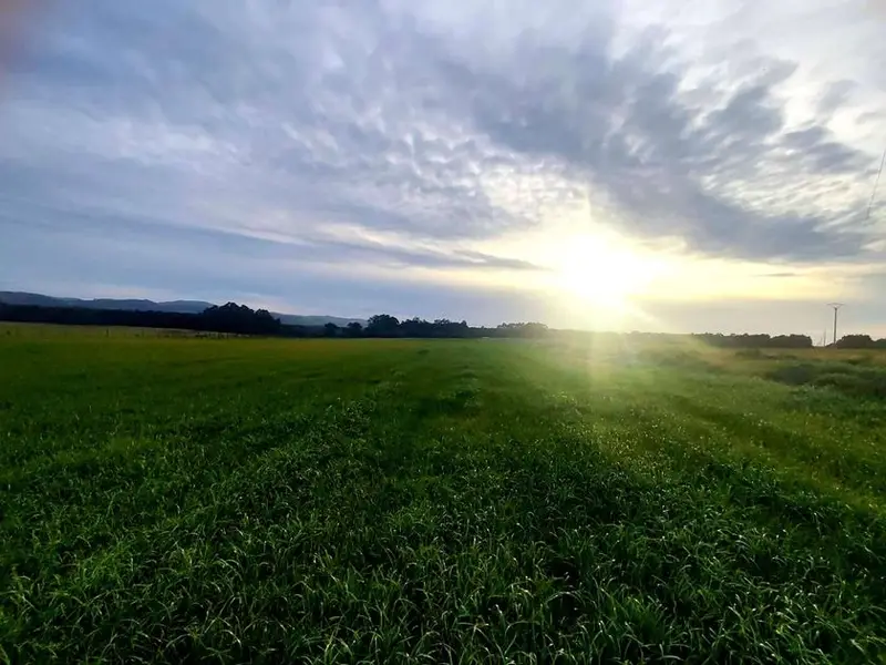 venta Terreno en Tapia de Casariego, Asturias (RV_1281)- Globaliza