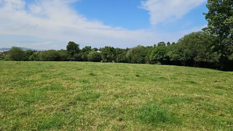 Venta Parcela Quintes Villaviciosa 2600m2 Edificable 300m2