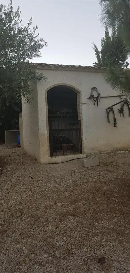 Chalet en Venta Guadasequies Valencia 4000m2