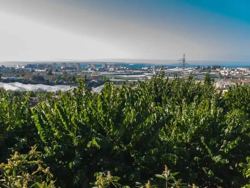 Terreno en Venta Torrox Park Malaga 26710m2 Edificabilidad 5342m2