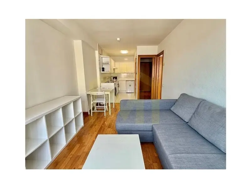 Alquiler Piso 1 Dormitorio Oviedo Plaza America Trastero