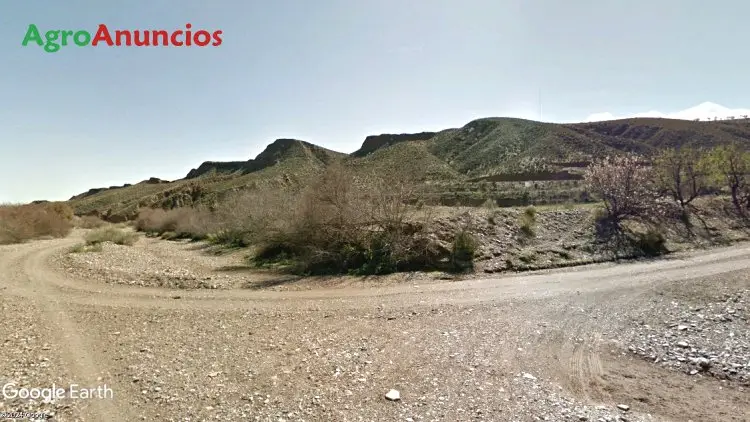 Venta  de Finca de labor y monte próxima a la población en Almería