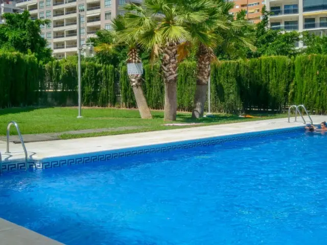 Apartamento 1 Dormitorio Alquiler Benidorm
