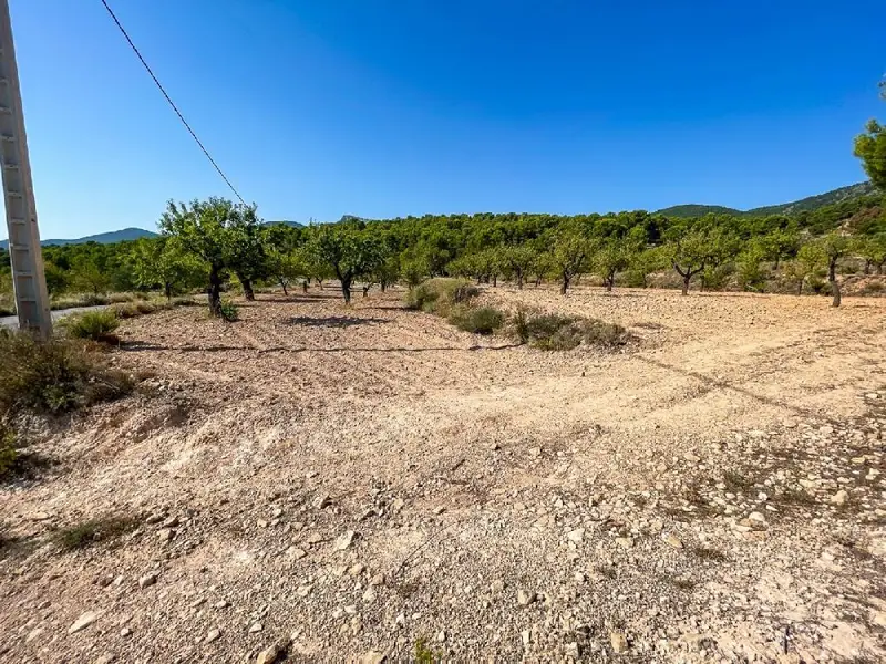 Venta Terreno con Vistas Espartosa Castalla