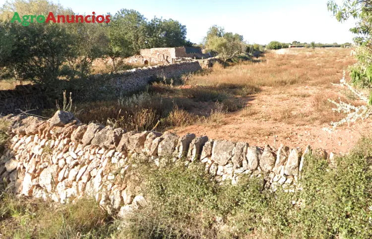 Venta  de Parcela cultivo secano y recreo en Baleares