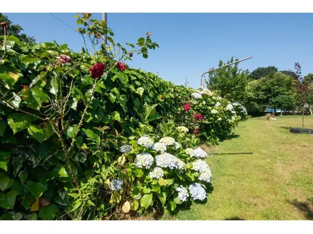 Finca con Casita para Fines de Semana en Cambre