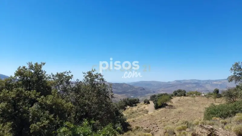 Finca Rustica en Venta Laroles Almendros Ecologica