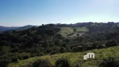 Finca Rustica en Jabugo 45 Hectareas