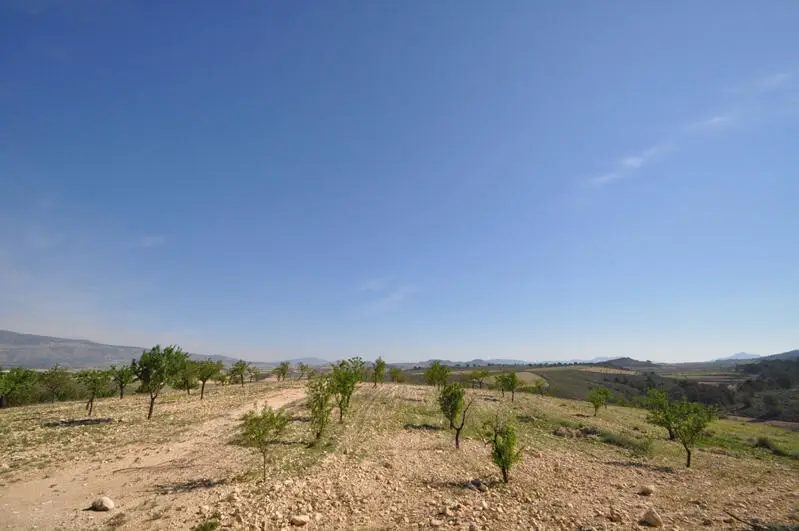 Parcela en Venta La Zarza - Junto al Parque Nacional Sierra De La Plia