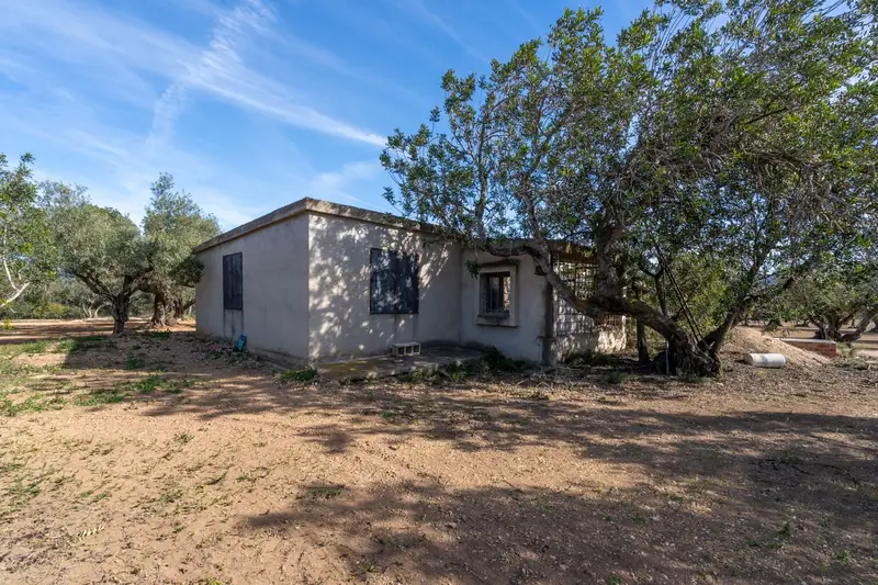Finca Rustica en Tortosa para Reformar 110m2