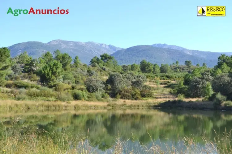 Finca Rustica 76 ha en Caceres