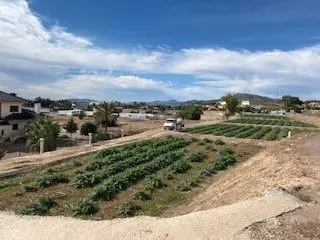 Parcela en Venta Tercia Lorca 5000m2 Buenas Vistas