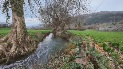 Finca Rustica 8000m2 San Felices de Buelna Vivienda Agropecuaria