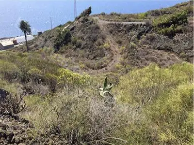 Casa Chalet en Venta Fuencaliente La Palma