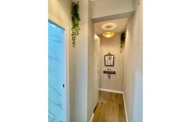 Alquiler Apartamento 5 Dormitorios Alicante Alacant 3 24 Meses