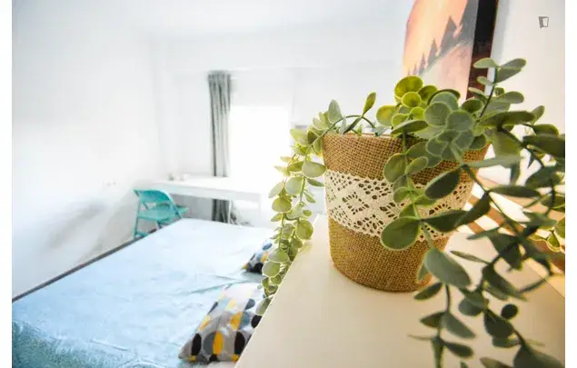 Alquiler Apartamento 4 Dormitorios Valencia 3-24 Meses
