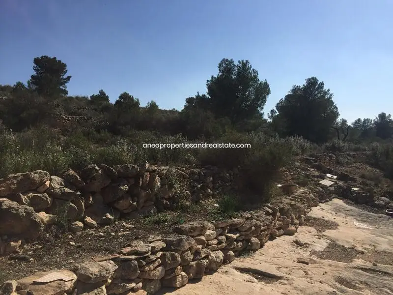 Chalet con muchas posibilidades en Monóvar Alicante