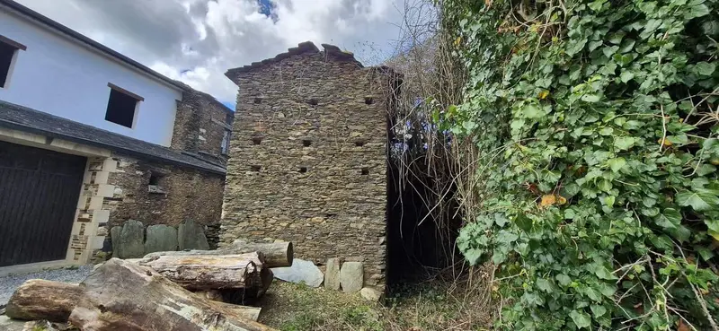 Finca Rustica en Venta en Lourenza Lugo