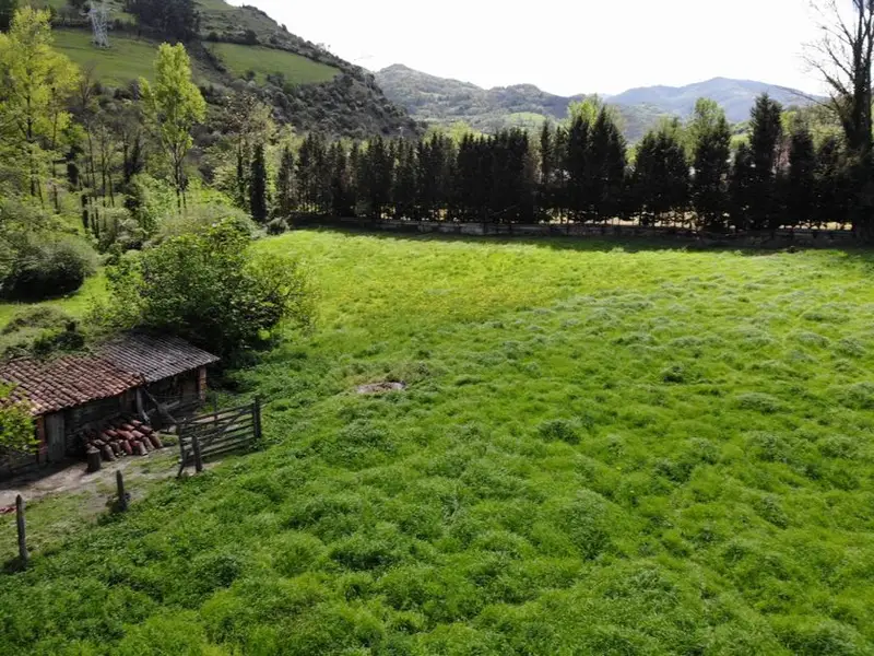 venta Terreno en Pola de Lena, Asturias (831475)- Globaliza