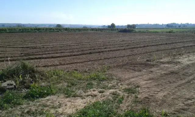 Finca rústica en venta en Castelldans