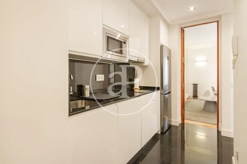 Apartamento Centro Madrid Alquiler 1 a 11 Meses