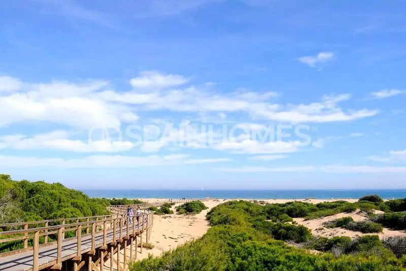 Casas de Lujo en La Marina Alicante Cerca de la Playa